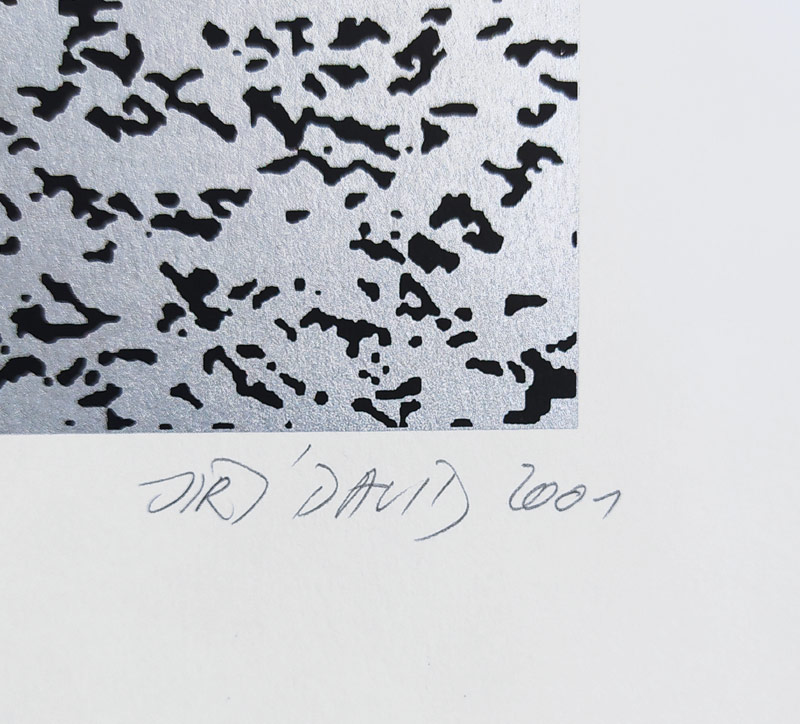 David Jiří – Další hejno, serigrafie, autorský tisk, 2001