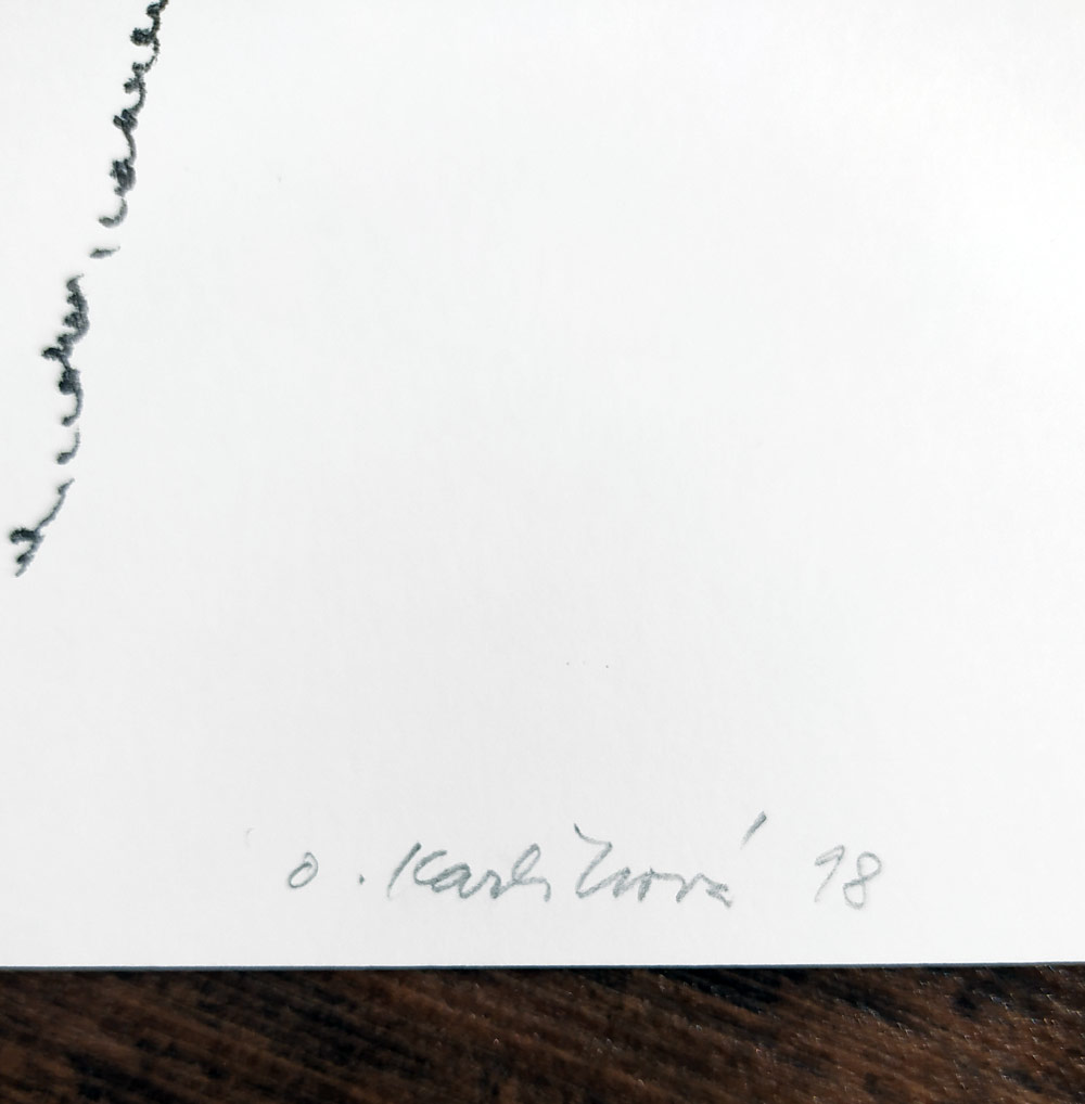 Karlíková Olga – Skřivani, původní litografie, číslováno 3/60, 1998