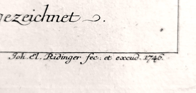 Ridinger Johann Elias – Lov medvěda, původní mědiryt, 1746