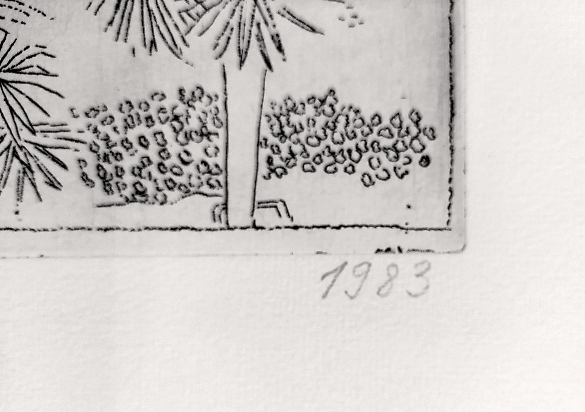 Černá Kateřina – Palmy, lept, číslováno 9/13, 1983