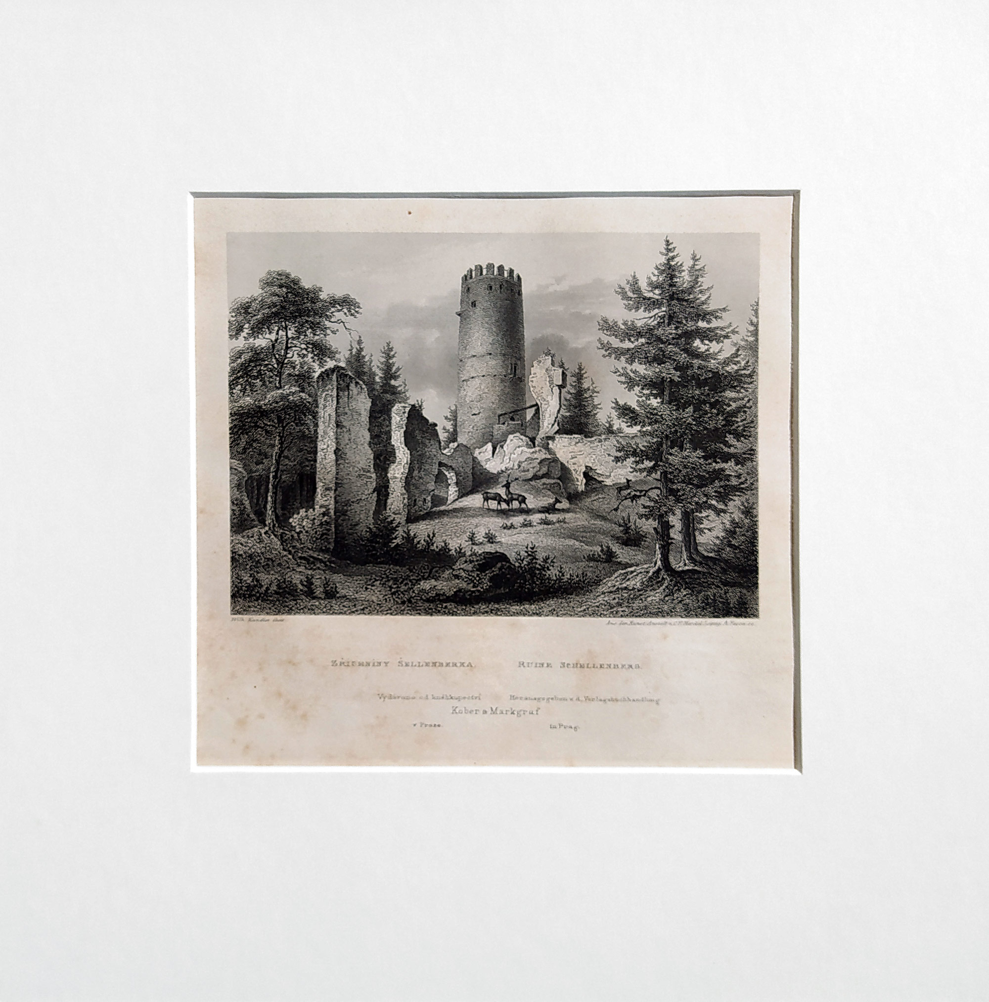 Šelmberk – Zřícenina hradu u Mladé Vožice, Adolf Fesca, původní oceloryt, 1860