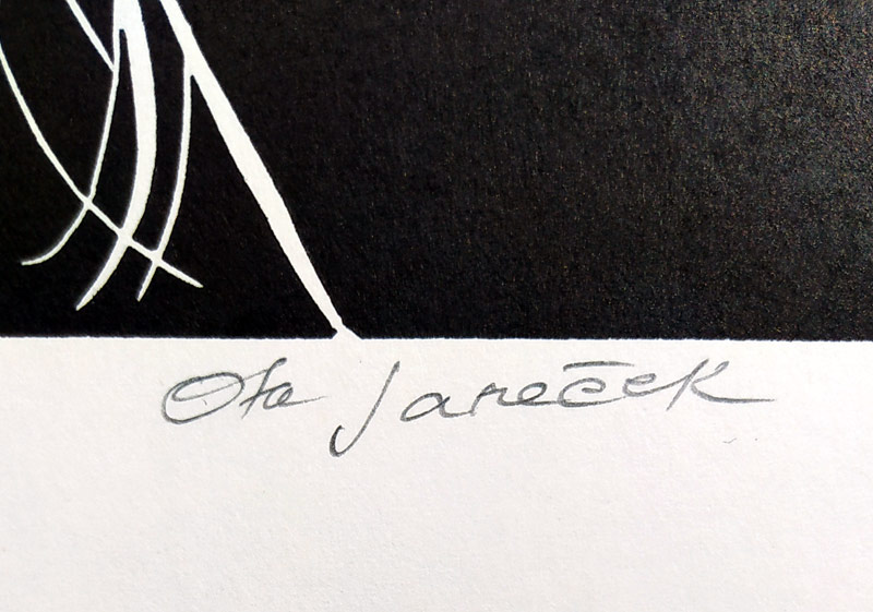 Janeček Ota – Dívka, signovaný původní linoryt, nedatováno