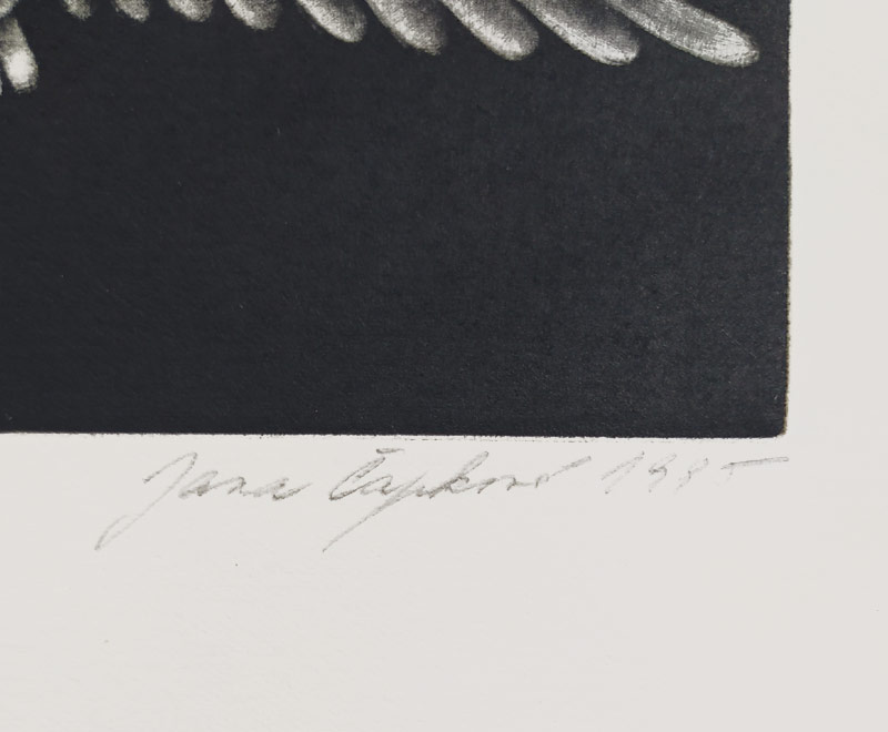 Čapková Jana – Let sovy, původní mezzotinta, číslováno 8/30, 1985