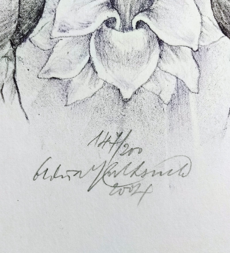 Kulhánek Oldřich – Ruce, původní litografie, číslováno 147/200, 2004