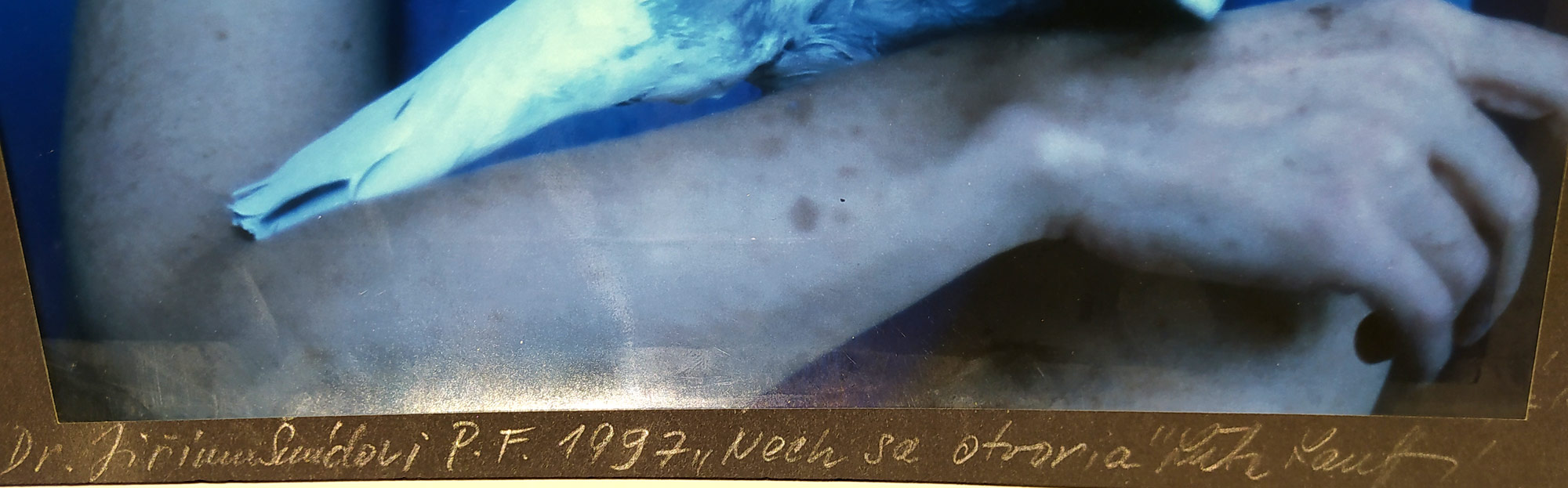 Lauffová Ľuba – Nech sa otvoria, Pf 1997, signovaná autorská fotografie, 1996