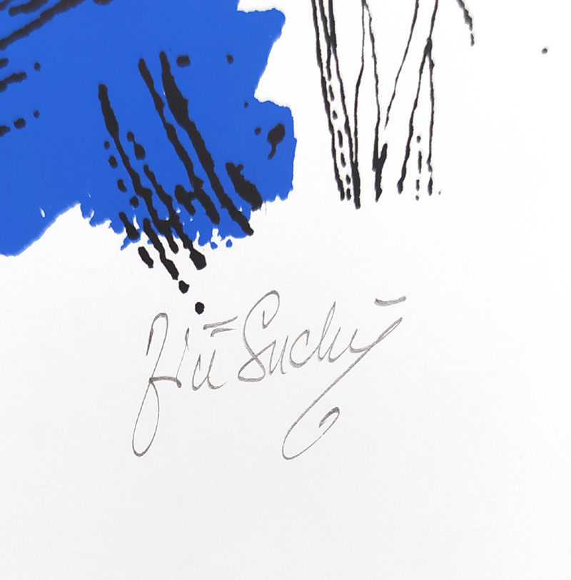 Suchý Jiří – Dívka v heřmánku, barevná serigrafie, nedatováno