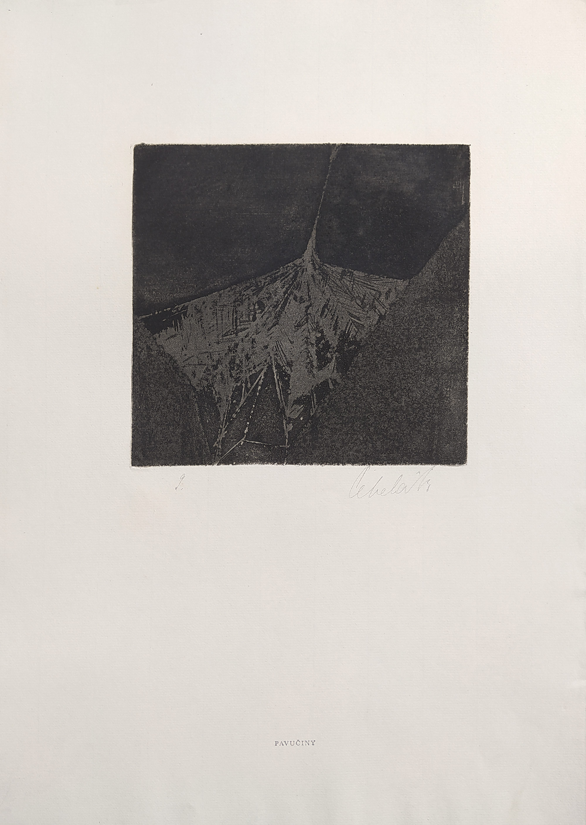 Čepelák Ladislav – Pavučiny (9), akvatinta, nedatováno