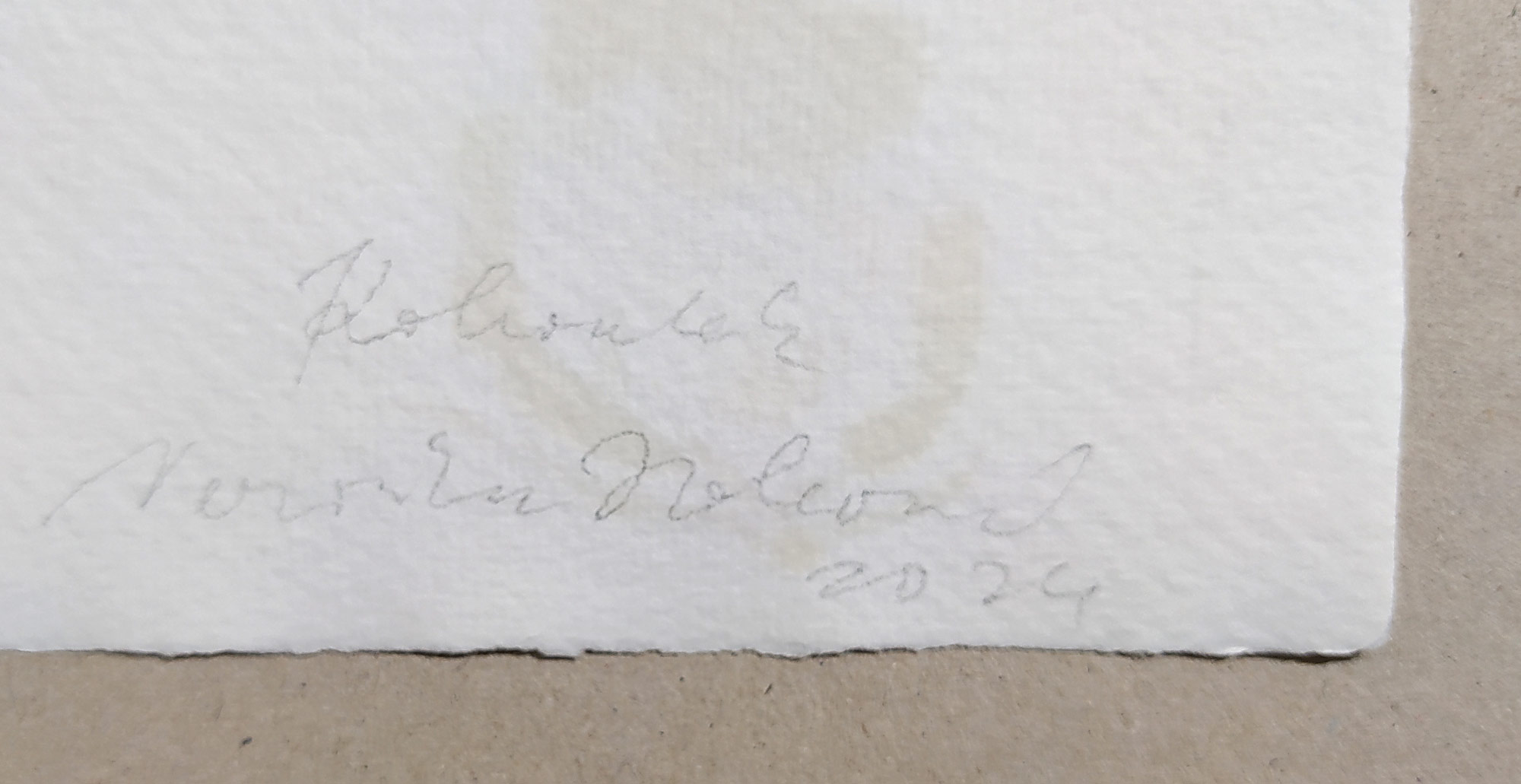 Holcová Veronika – Kohoutek, olejomalba na ručním papíře Losín, 2024