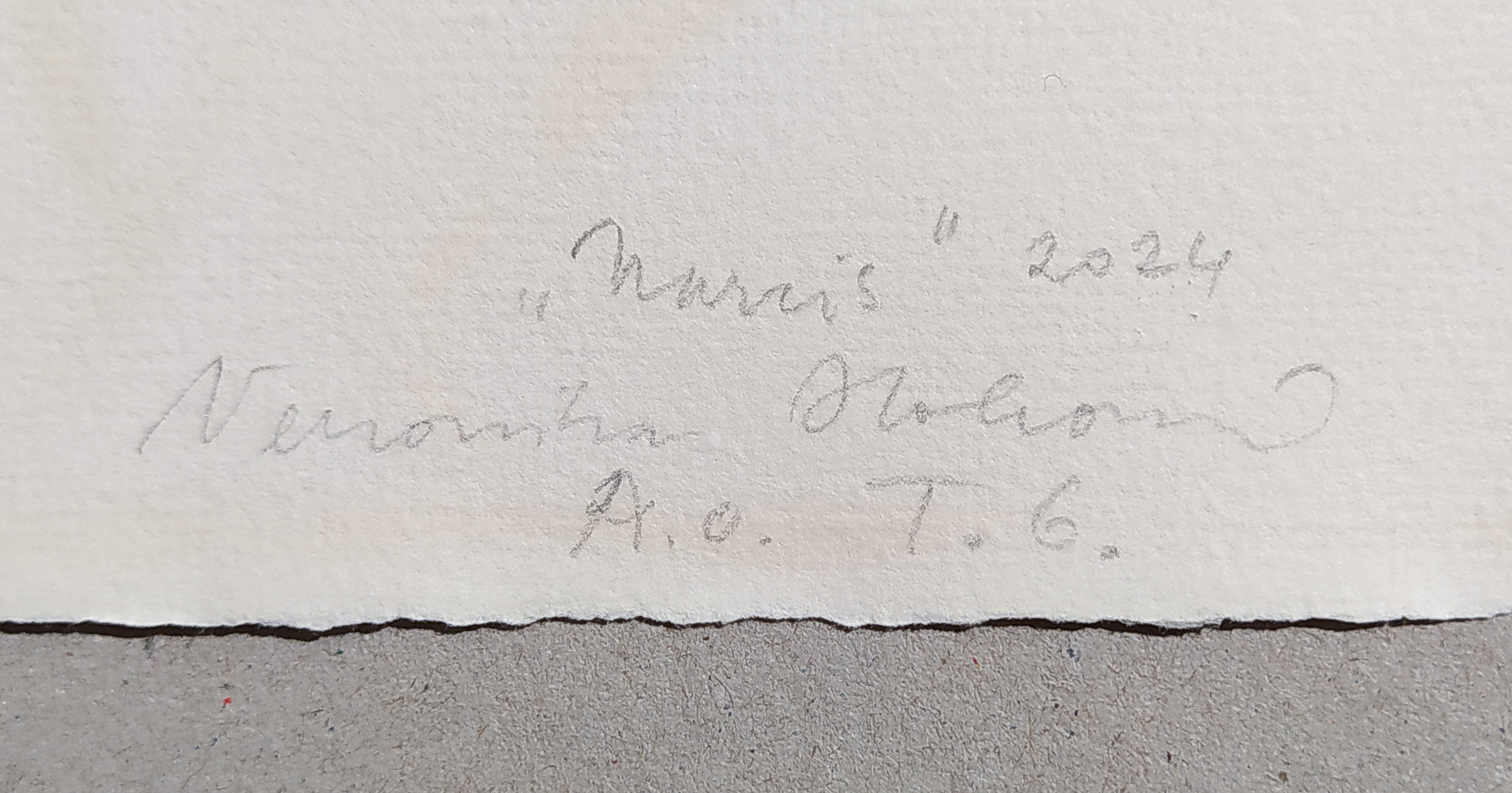 Holcová Veronika – Narcis, olejomalba na ručním papíře Losín, 2024