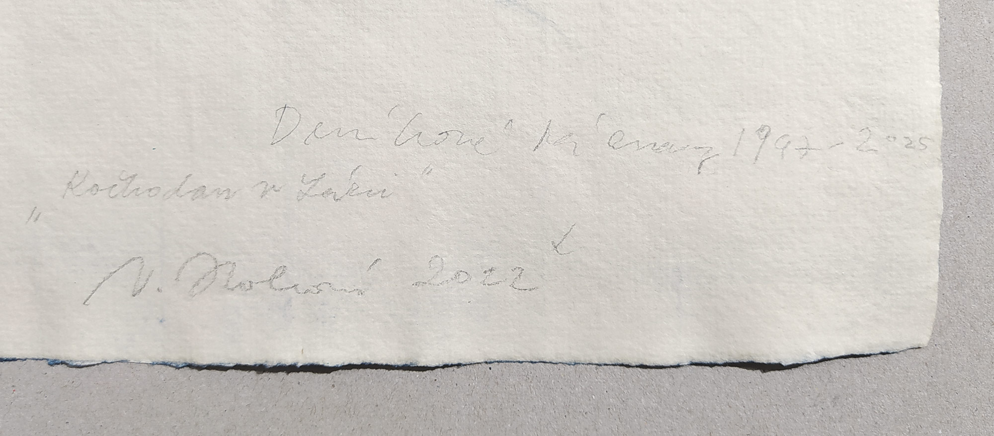 Holcová Veronika – Kočkodan v lázni, olejomalba na ručním papíře Losín, 2022