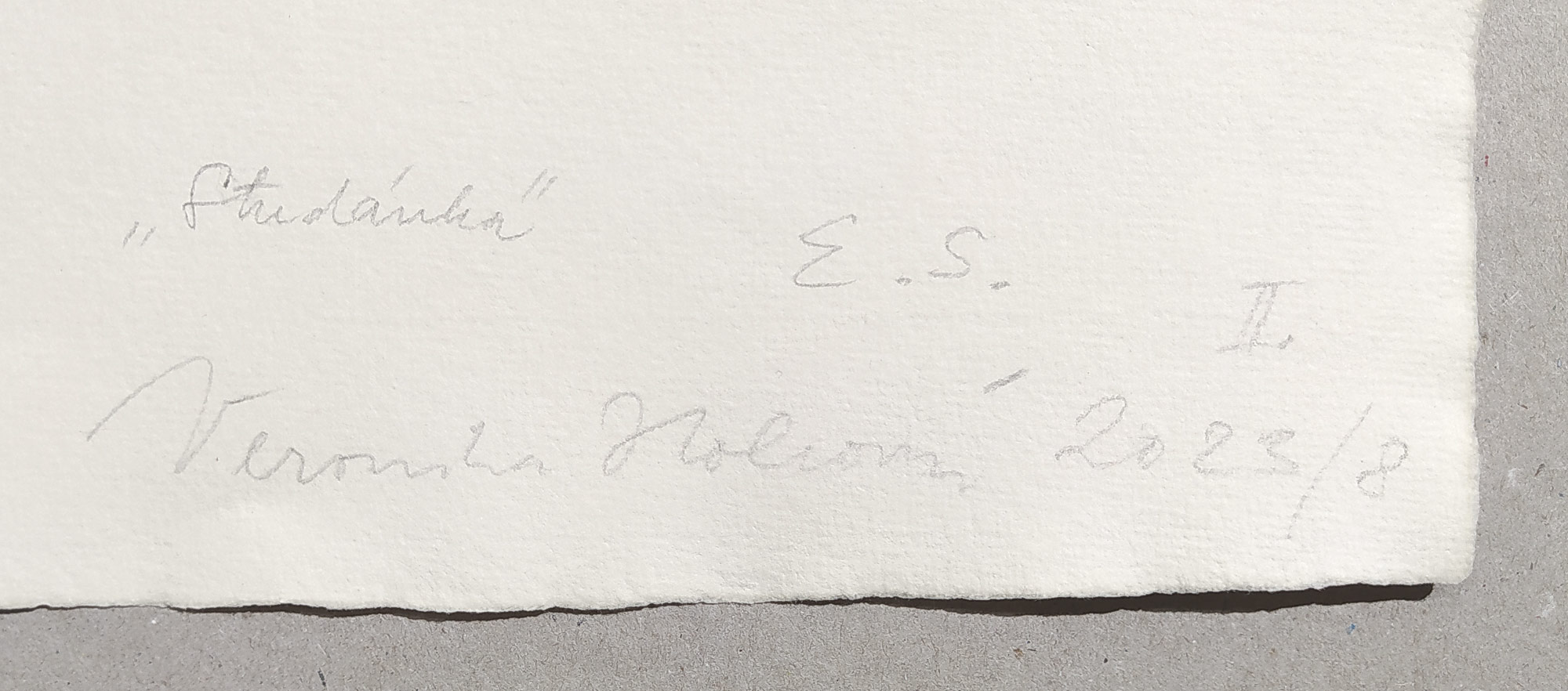 Holcová Veronika – Studánka, olejomalba na ručním papíře Losín, 2023