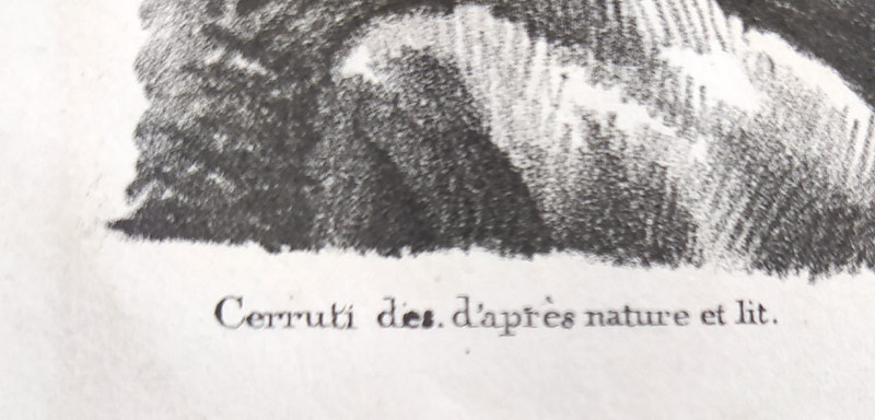 Bauduc Felice Cerruti – Solitaire, ze série Koně Carla Alberta, původní litografie, 1836