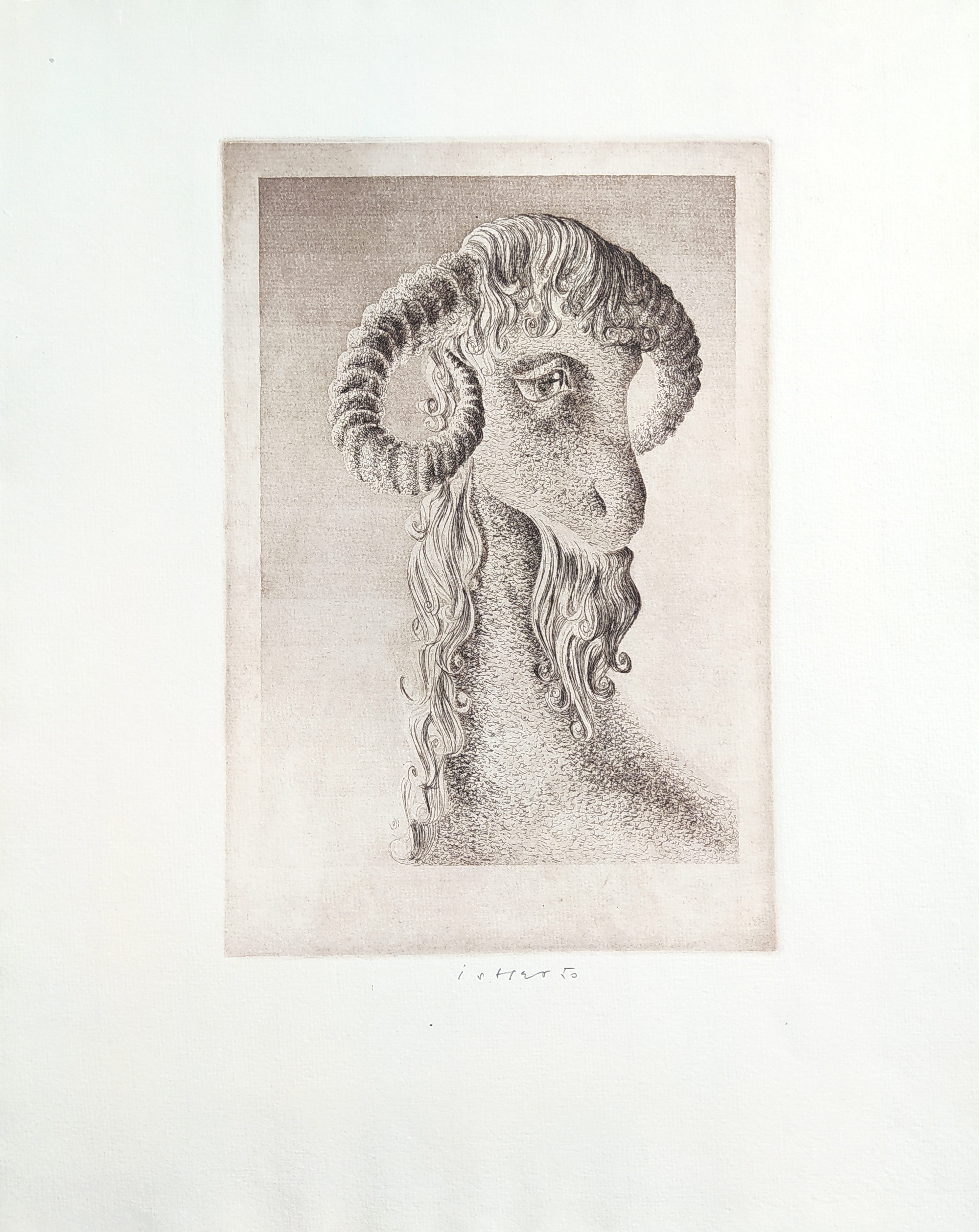 Istler Josef – Hlava berana, suchá jehla a lept, 1950