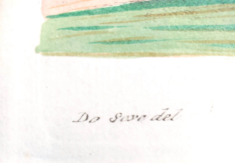 Leitner J. S. – Kočkodan, staře kolorovaný původní mědiryt, 1755