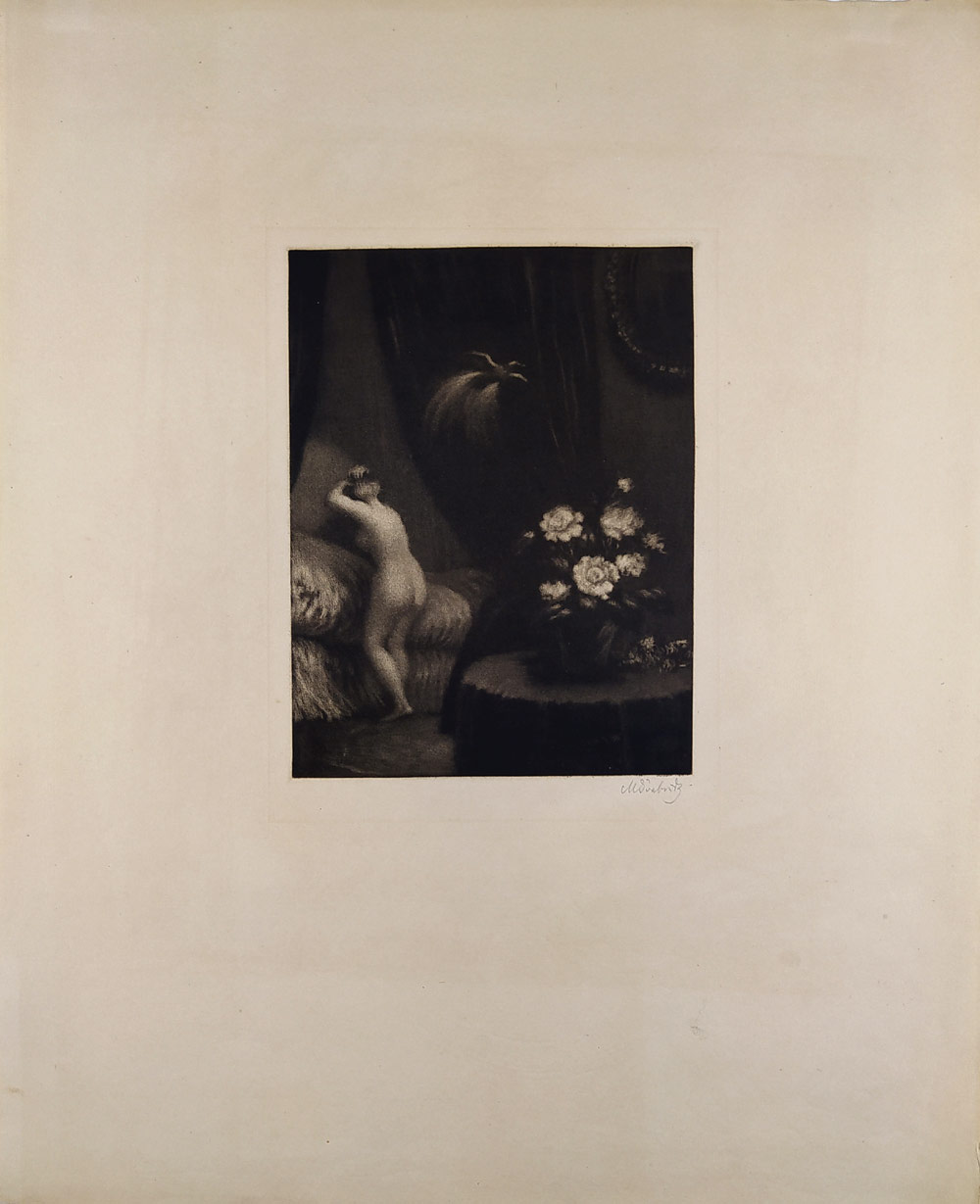 Švabinský Max – Bílá kamelie. střední, mezzotinta, 1910