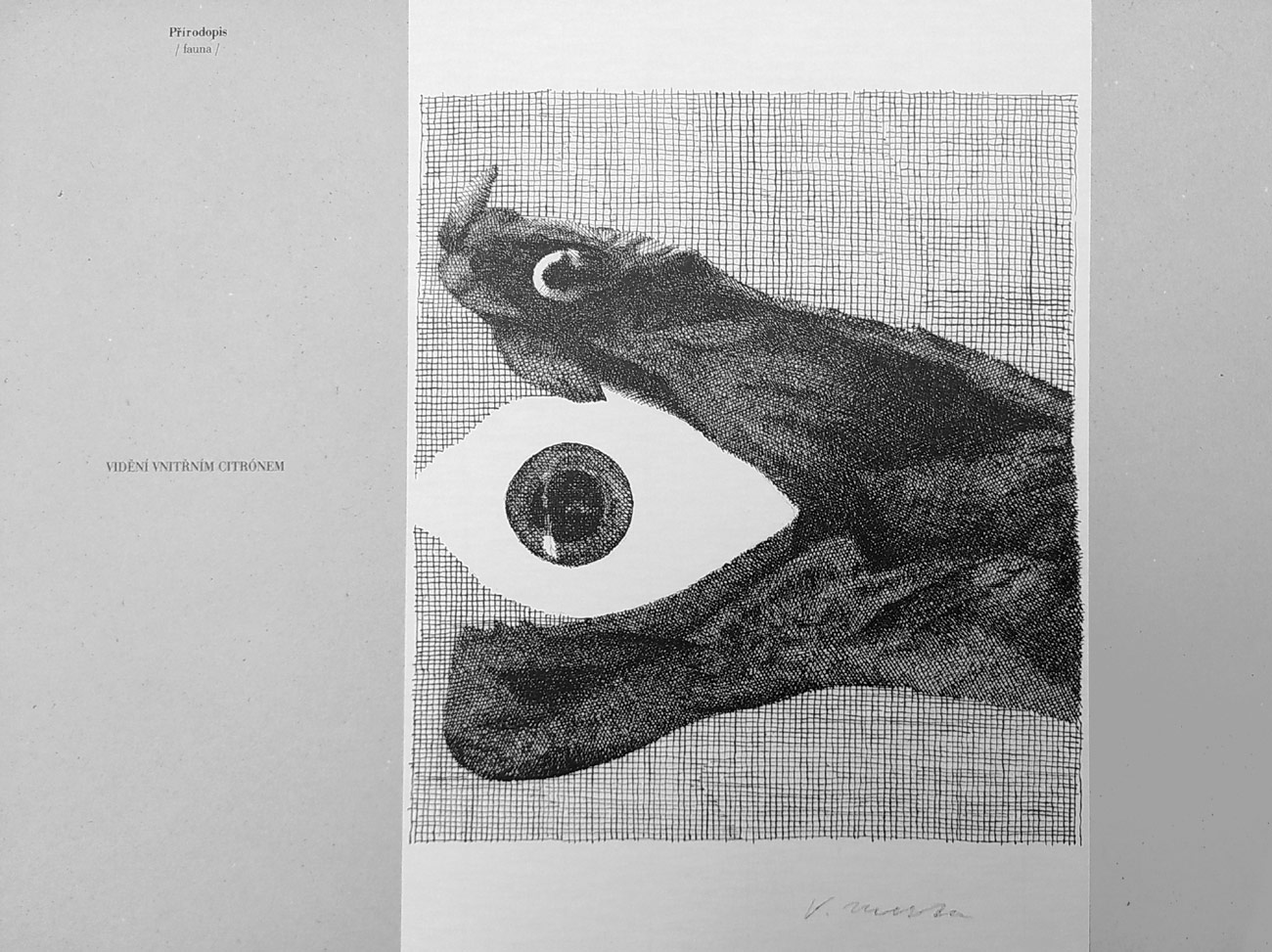 Přírodopis / Fauna / – Vladimír Merta, pět reprodukcí kreseb, album, 1997