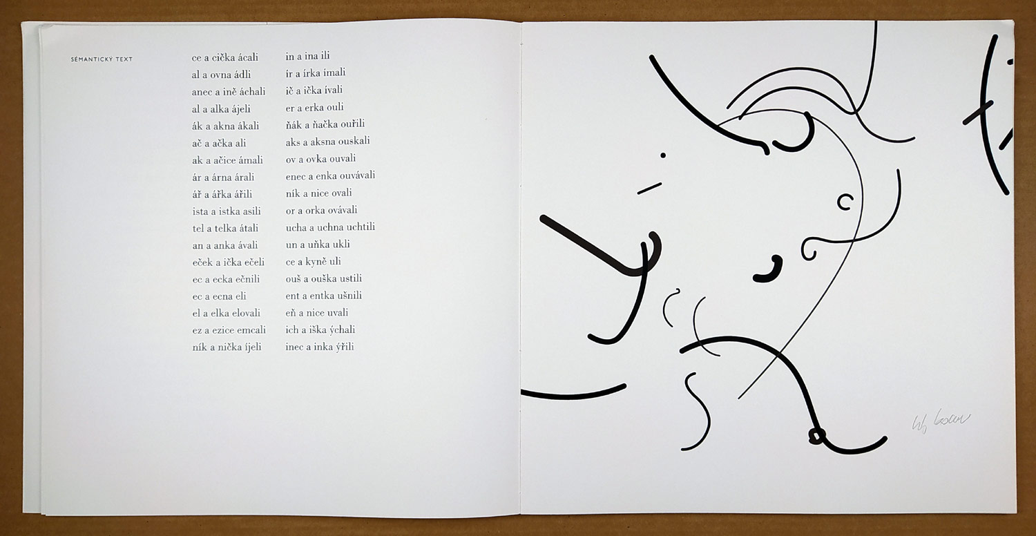 Sýkora Zdeněk, Hiršal Josef, Grögerová Bohumila – Poezie Struktury Linie, Aulos, 2009