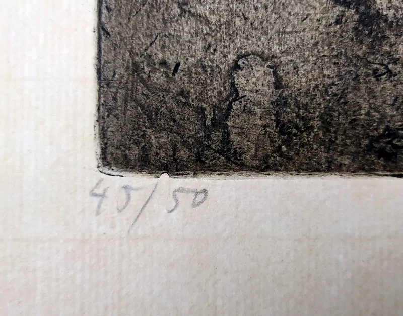 Tomanová Emilie – Zahrada, rozměrná grafika, barevný lept, nedatováno