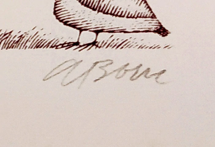Born Adolf – Přípitek, původní signovaná litografie, autorský tisk, nedatováno