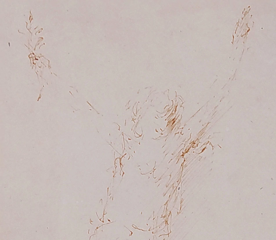 Wagner Josef st. – Studie dívky, návrh sochy, perokresba na japanu, 1955