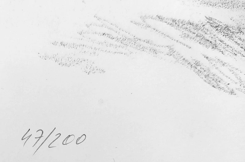 Toman Karel – Leviatan, původní litografie, nedatováno