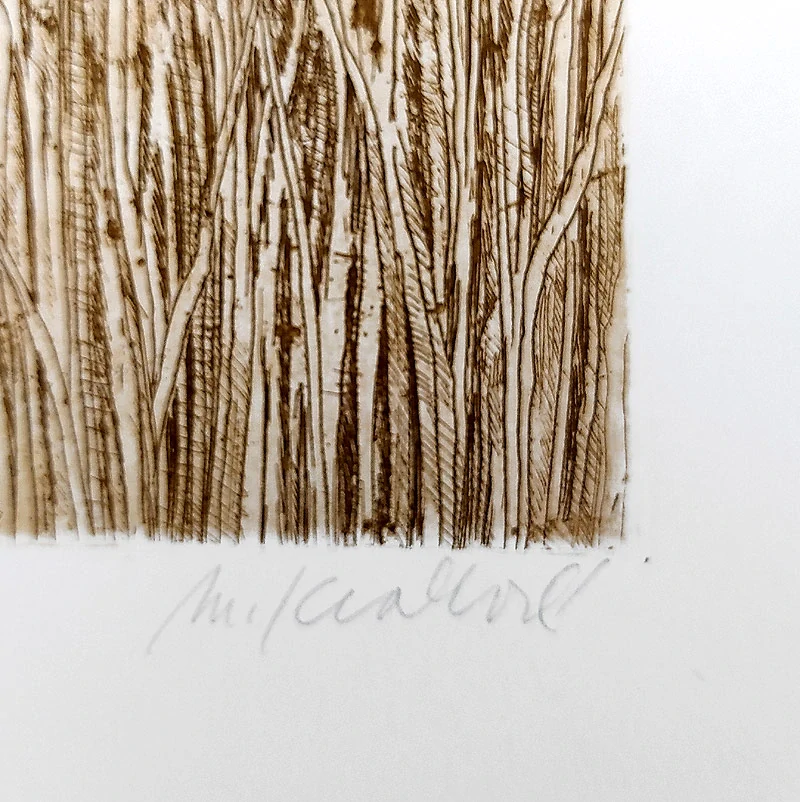 Králová Markéta – Trávy, původní lept, nedatováno