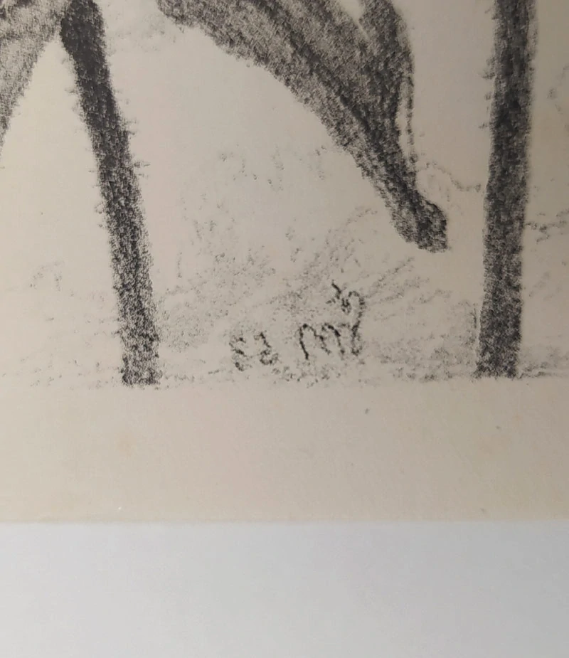 Švabinský Max – Orchidej, původní litografie, 1958