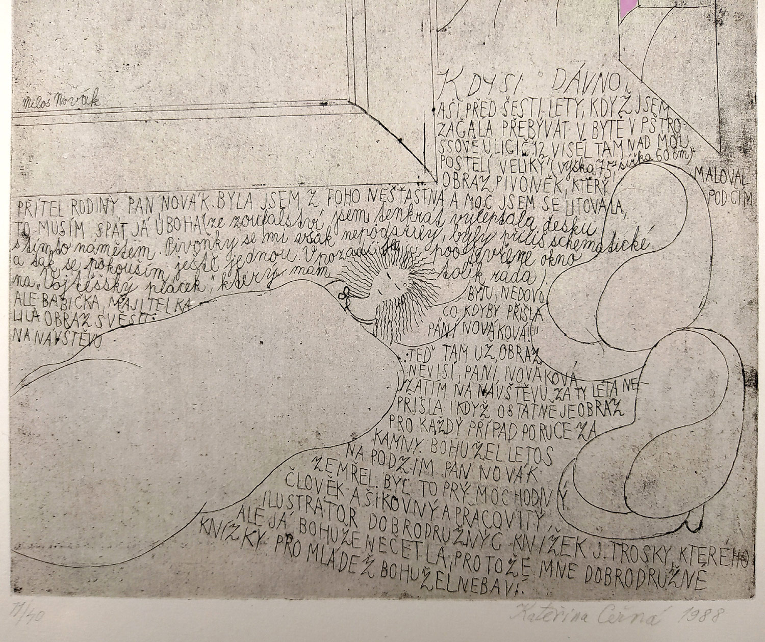 Černá Kateřina – Miloš Novák, Obraz pivoněk, kombinovaná technika, č. 11/40, 1988