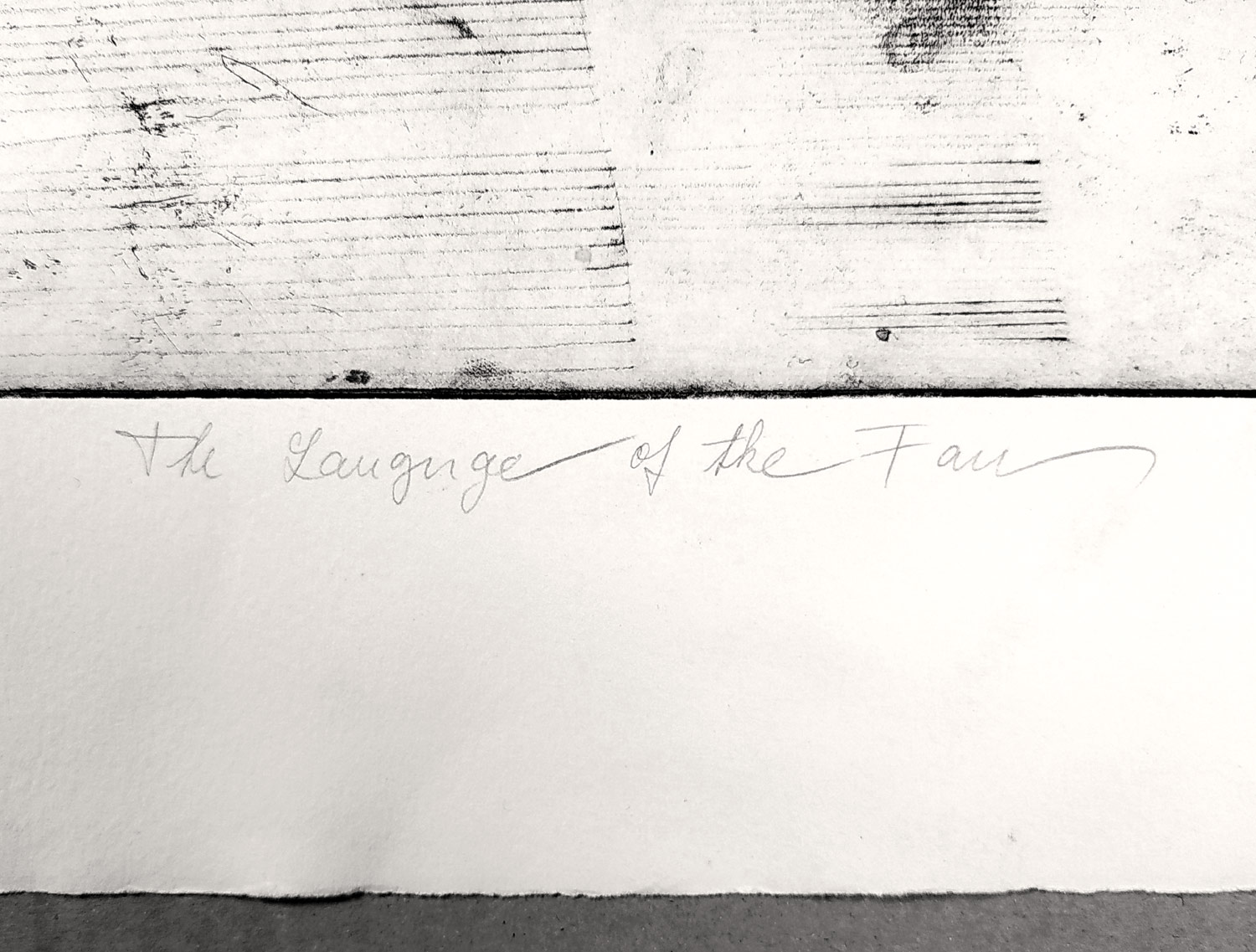 Chobotová-Suchánková Eva – The Language of the Fun, velkoformátová grafika, lept, 1990
