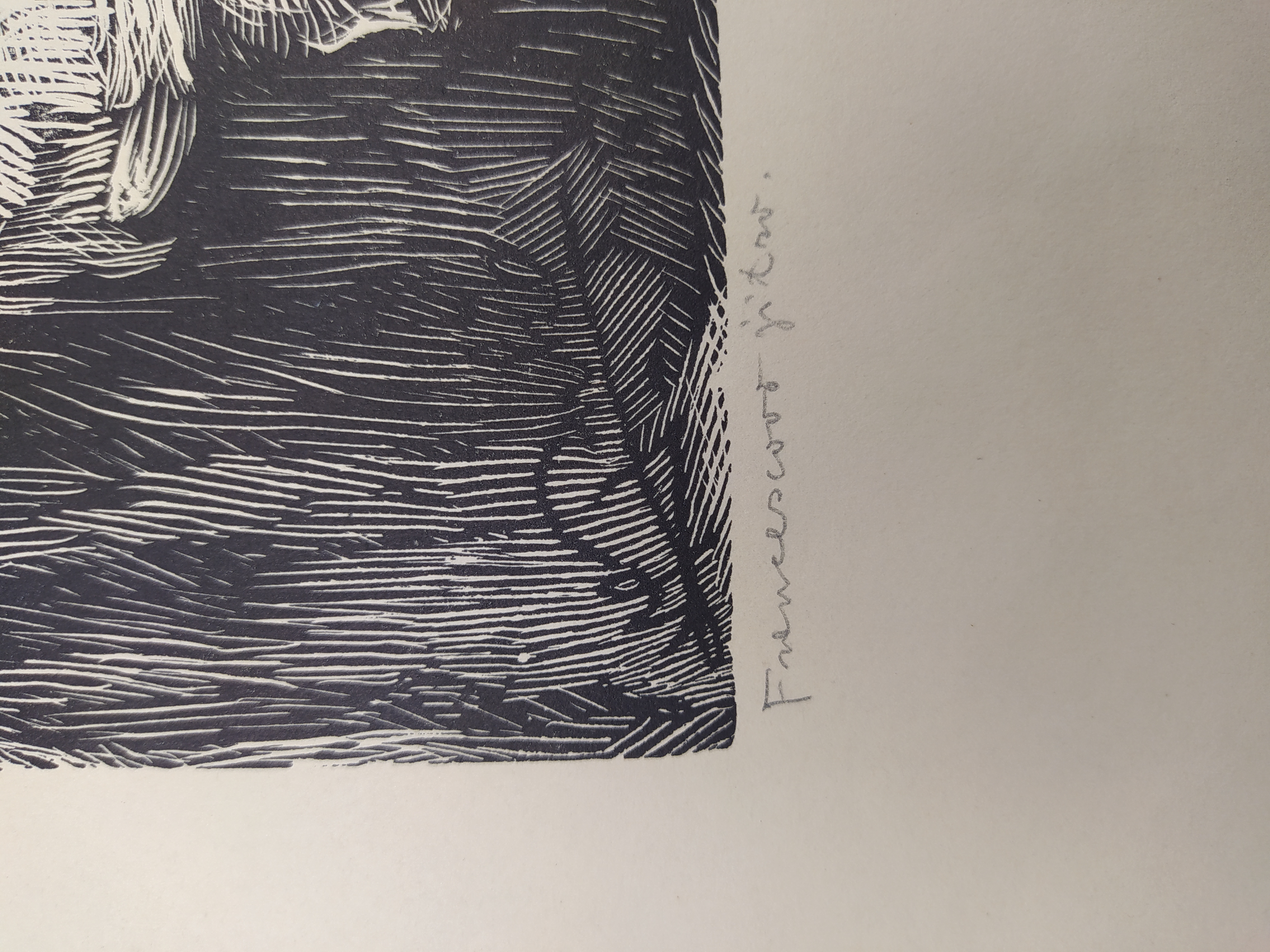 Pukl Vladimír – Francescovo jitro, původní dřevoryt, dedikace autora, 1943