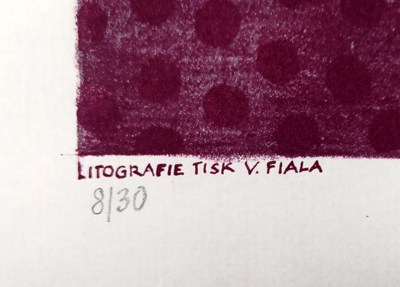 Šalamounová Eva Natus – Kouzelná zahrada, původní barevná litografie, č. 8/30, 1973