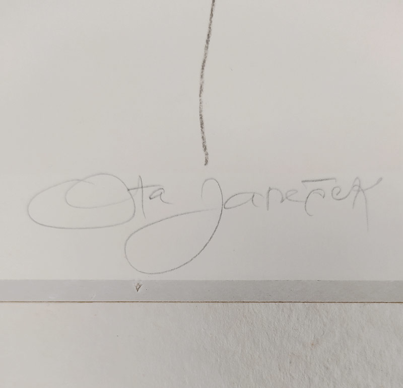 Janeček Ota – Dívčí akt, původní litografie, číslováno 16/55, 70. léta 20. stol.