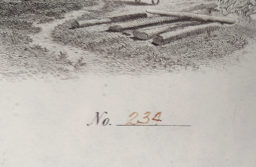 Certifikát akcií – Výstava ke stému výročí ve Filadelfii 1776–1876, původní oceloryt, 1876