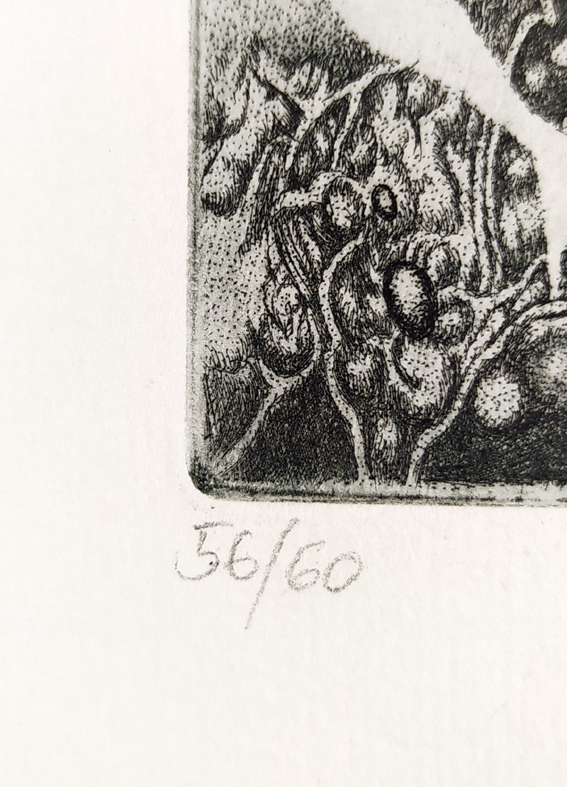 Kábrt Josef – Ex libris J. Šafář, zrnkový lept s barevným podtiskem, č. 56/60, nedatováno