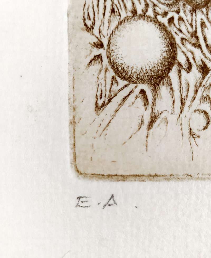 Kábrt Josef – Dívka v květu, zrnkový lept s barevným podtiskem, autorský tisk, nedatováno