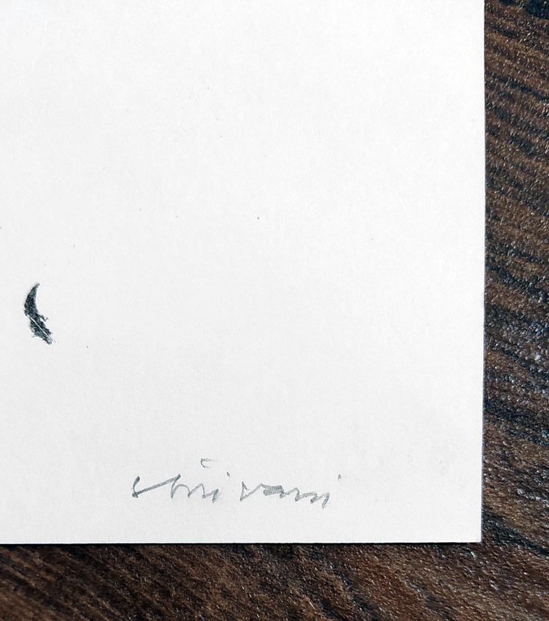 Karlíková Olga – Skřivani, původní litografie, číslováno 3/60, 1998