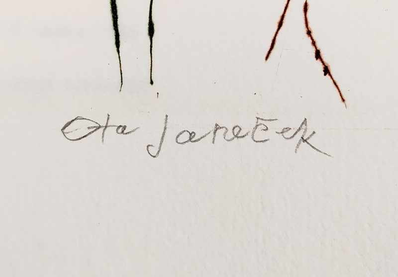 Janeček Ota – Dívčí tvář, Vzpomínka na Jaroslava Seiferta, barevná suchá jehla, 1986