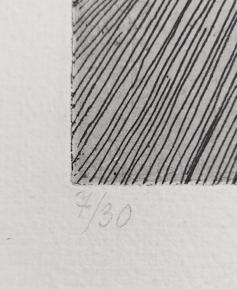 Černá Kateřina – Frézie, lept, číslováno 7/30, 1983