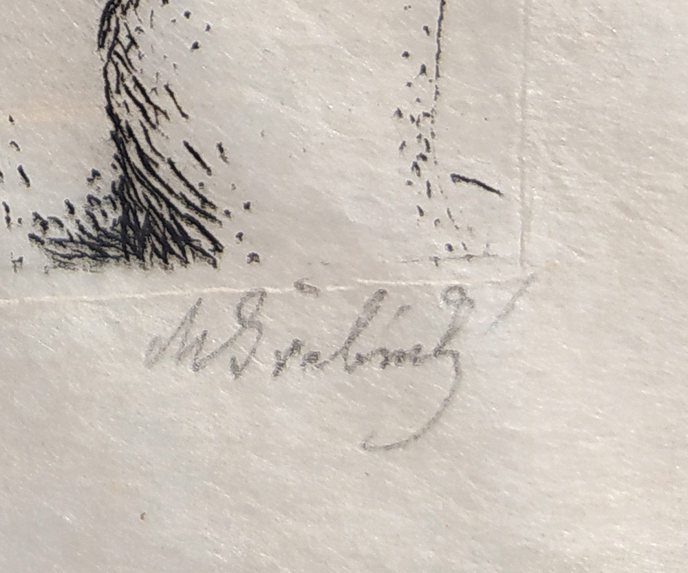 Švabinský Max – Studie ženské hlavy, číslovaný lept na japanu, 179/200, 1921