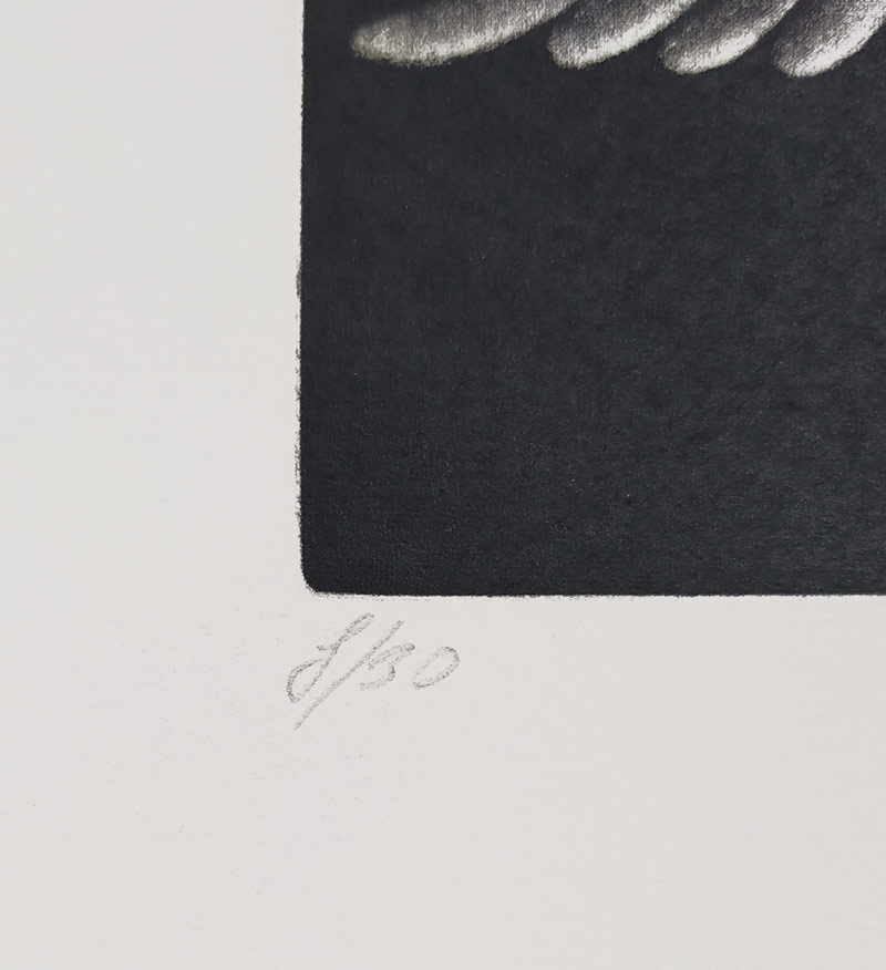 Čapková Jana – Let sovy, původní mezzotinta, číslováno 8/30, 1985