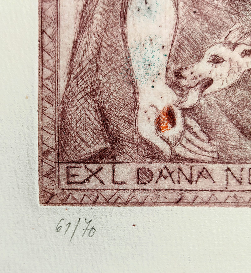 Antonová Alena – Ex libris Dana Nevečeřalová, kolorovaná suchá jehla s barevným podtiskem, č. 61/70, 1994