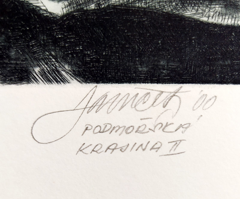 Janíček James – Podmořská krajina II, suchá jehla, 2000