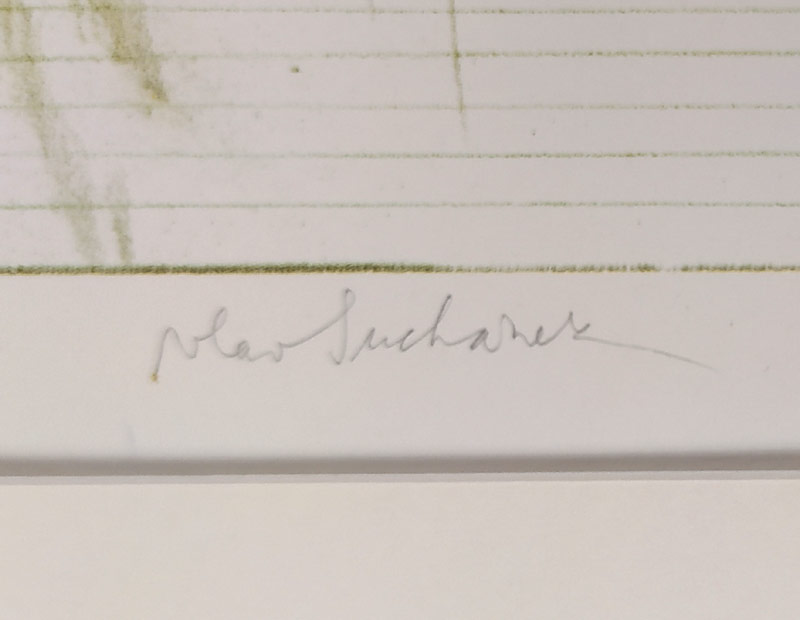 Suchánek Vladimír – Žena v krajině, velkoformátová barevná litografie, č. 58/100, nedatováno