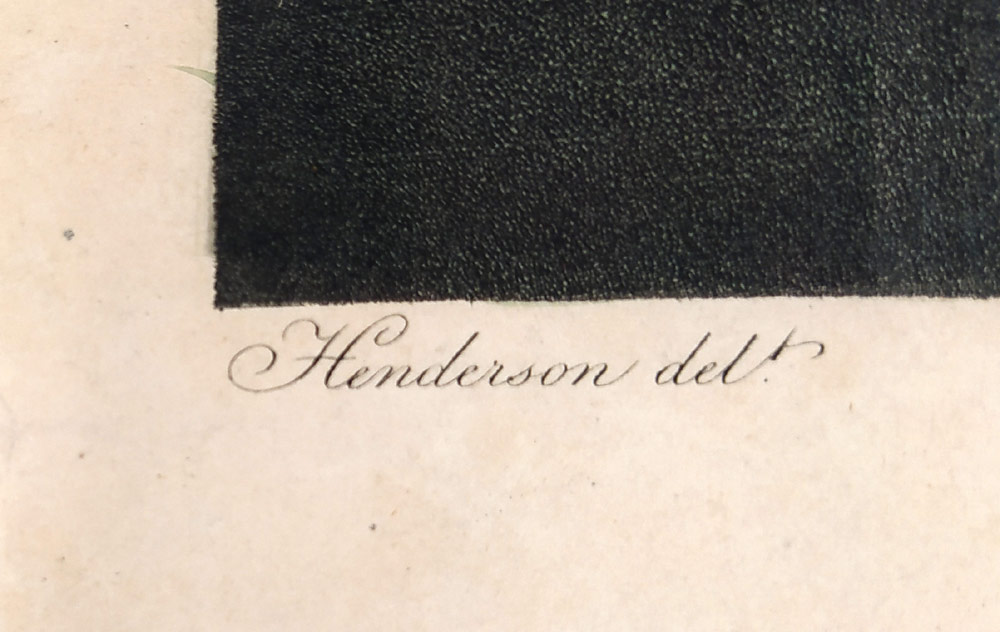 Thornton Robert John – The Winged Passion Flower, Warner, Henderson, staře kolorovaná mezzotinta, 1802