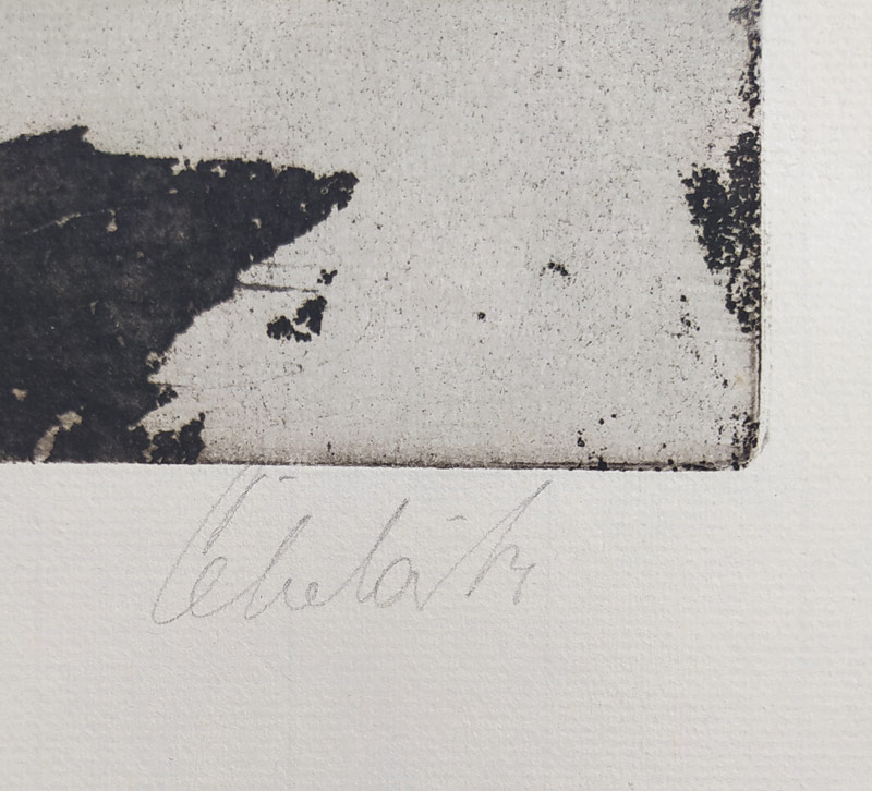 Čepelák Ladislav – Pavučiny (8), akvatinta, nedatováno