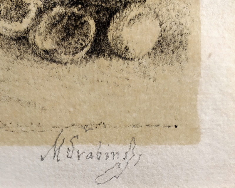 Švabinský Max – Kvetoucí lípa a ženský akt, původní litografie, 1952