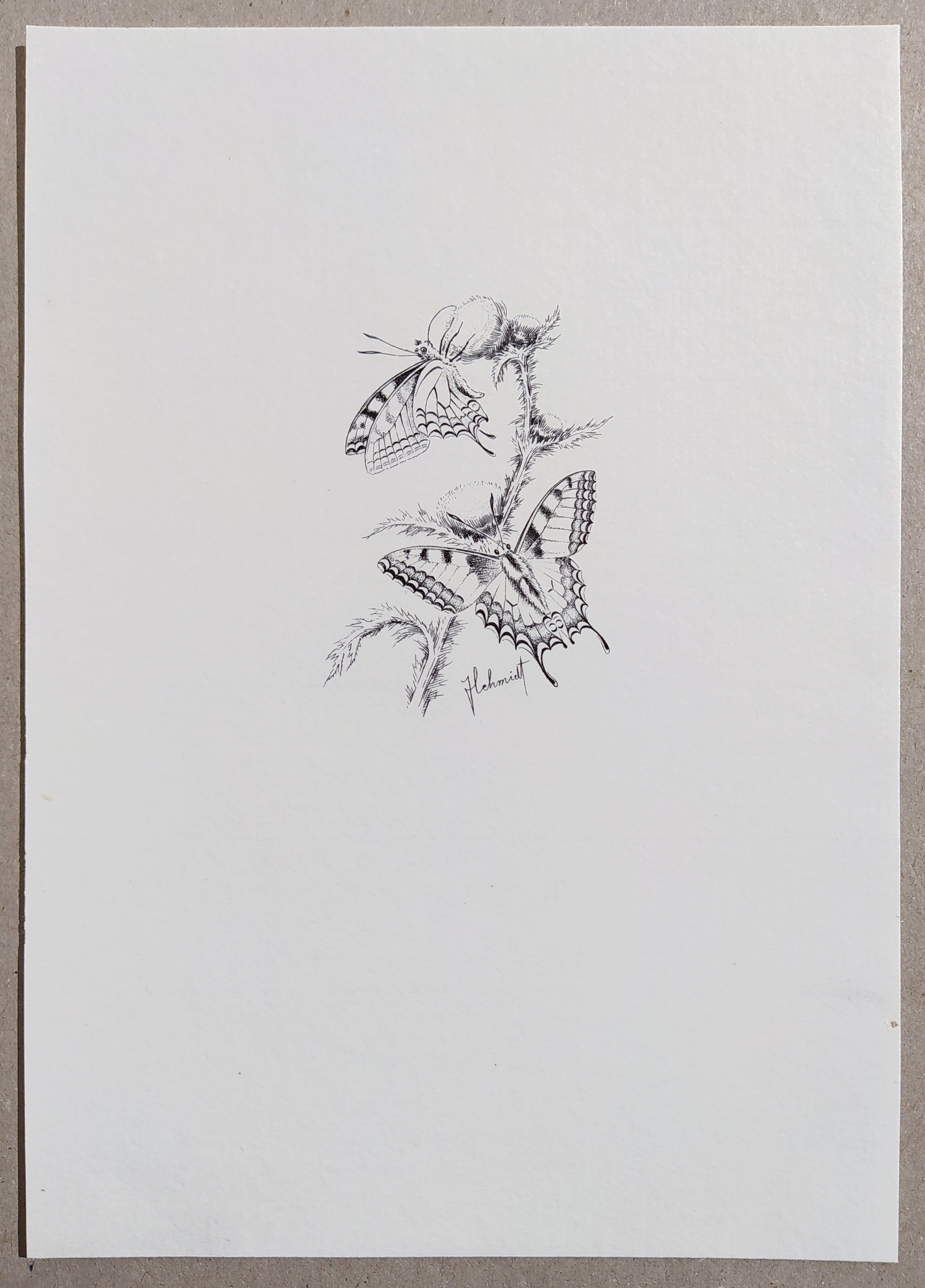 Schmidt Jindra – Motýli Jindry Schmidta, tři ocelorytiny, 1987