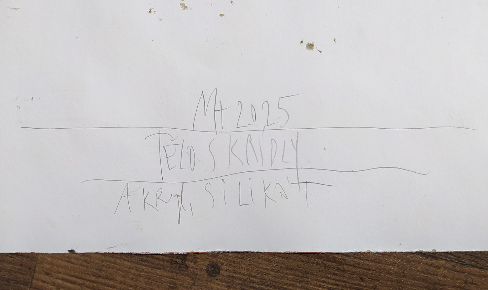 Husák Milivoj – Tělo s křídly, malba, akryl, silikát, 2025