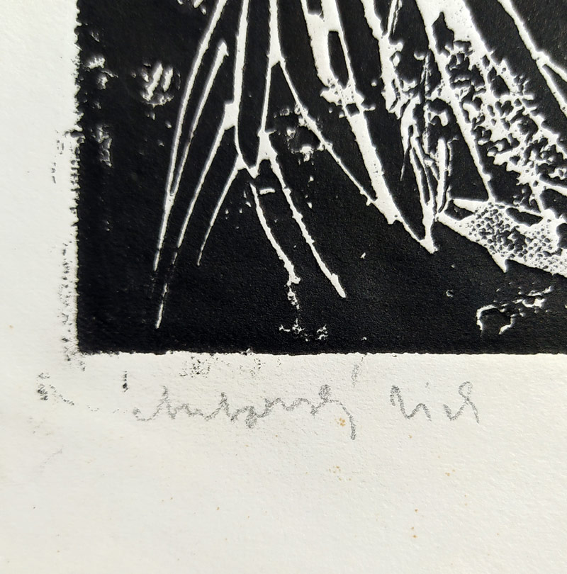 Emler František – Dívka, původní linoryt, autorský tisk, 1963