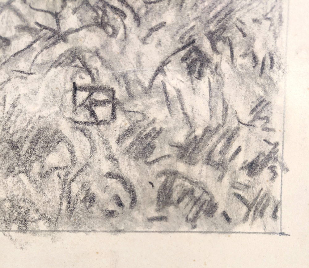 Hildprandt Karel z Ottenhausenu – Lesní zátiší, rozměrná kresba tužkou, 1950